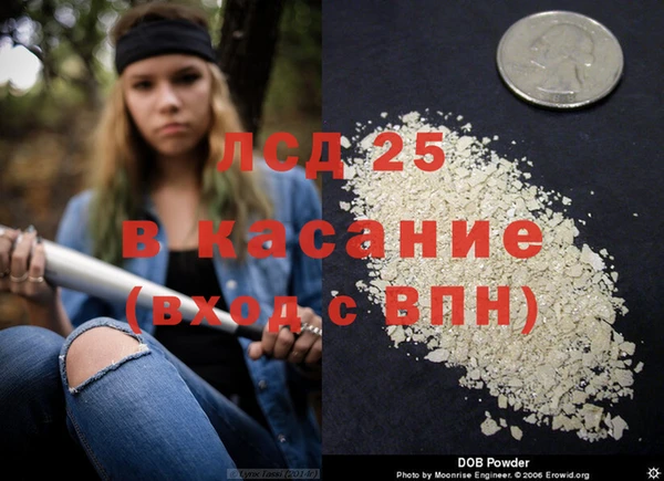 хмурый Абаза