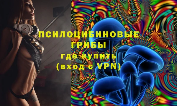 хмурый Абаза