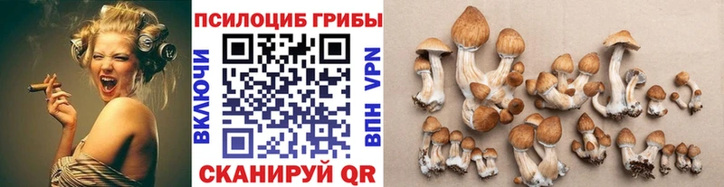 Псилоцибиновые грибы ЛСД  ссылка на мегу ССЫЛКА  Разумное 